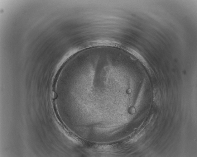 X0000066951043200603311437