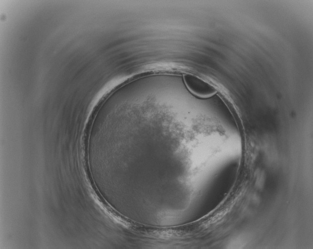 X0000066951045200603311437