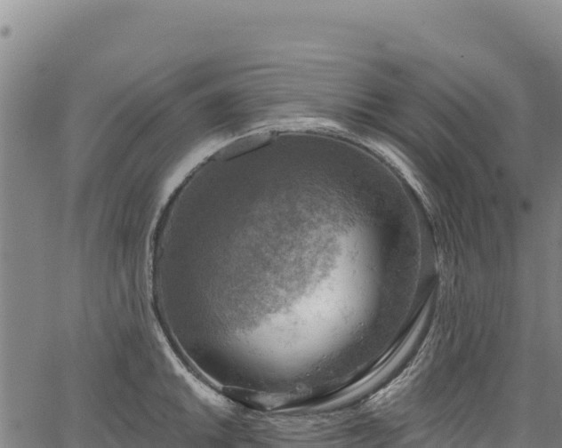 X0000066951046200603311437