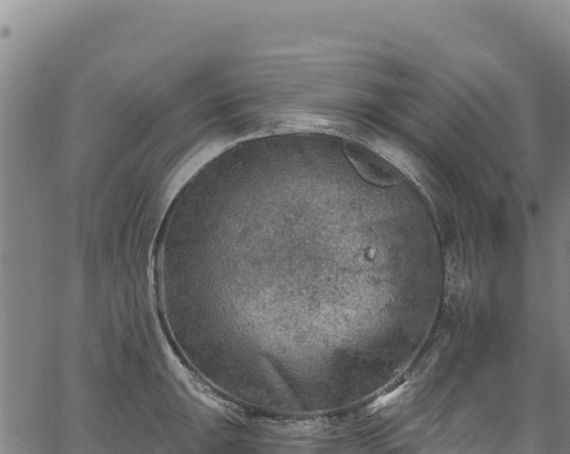 X0000066951047200603311437