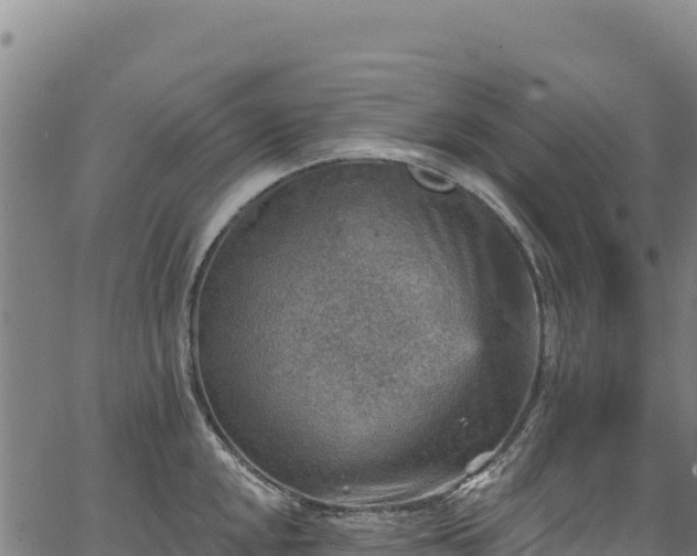 X0000066951048200603311437