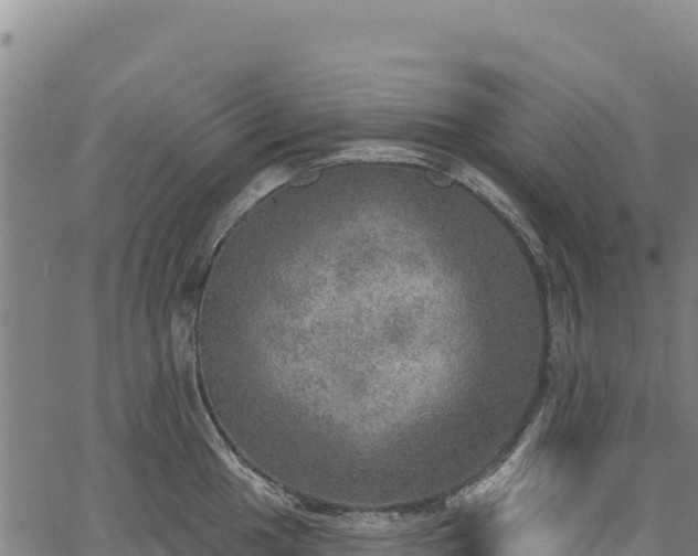 X0000066951049200603311437