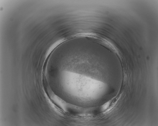 X0000066951050200603311437