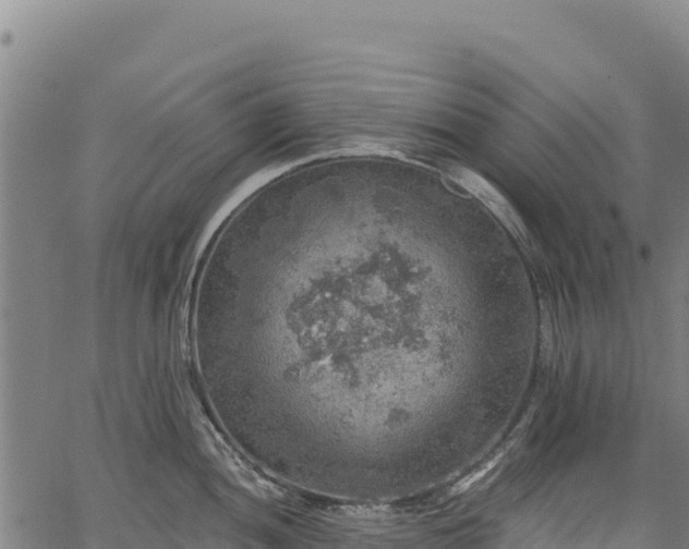 X0000066951052200603311437