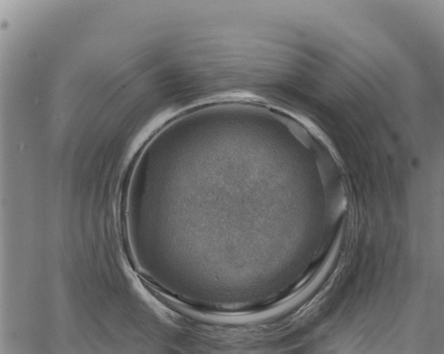 X0000066951054200603311437