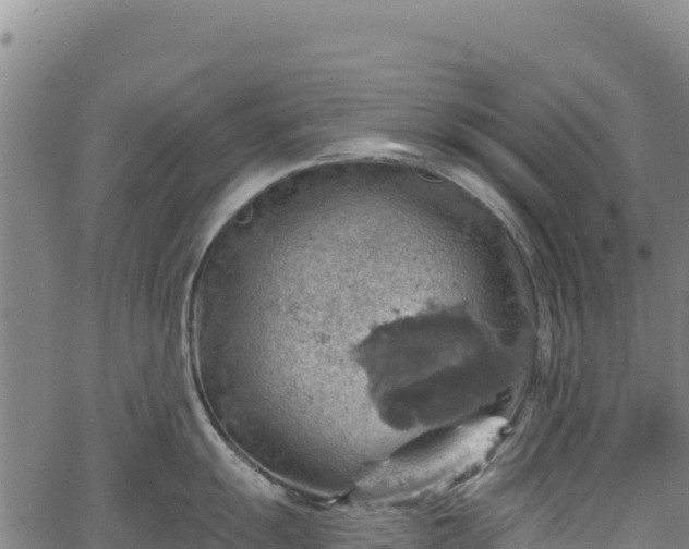 X0000066951055200603311437