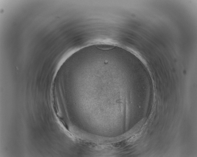 X0000066951056200603311437