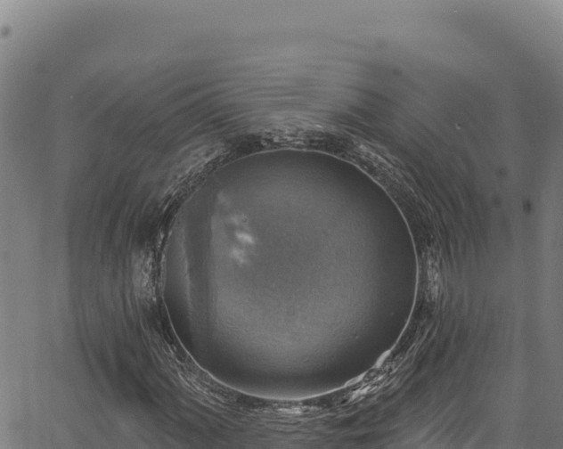 X0000066951060200603311437