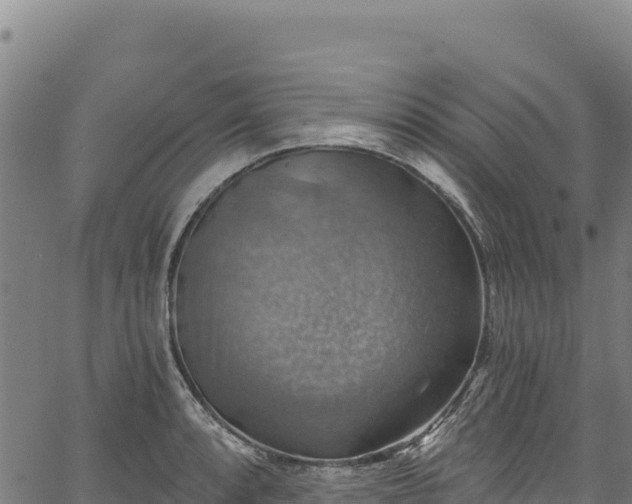 X0000066951088200603311436