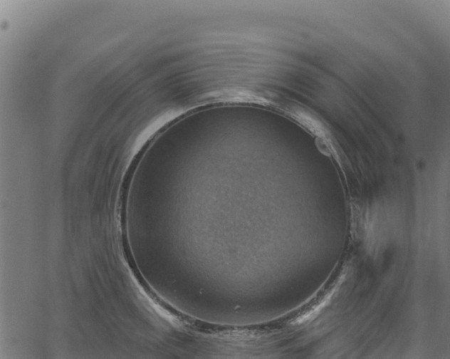 X0000066951141200603311436