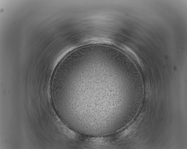 X0000066951182200603311435