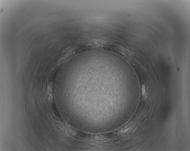 X0000066951203200603311433