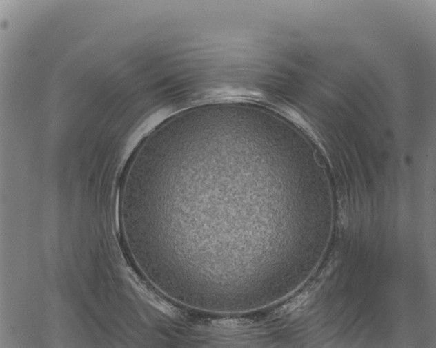 X0000066951227200603311434