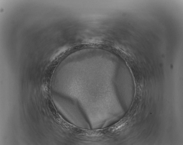 X0000066951254200603311433
