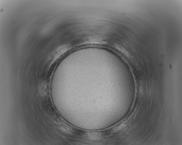 X0000066951258200603311433
