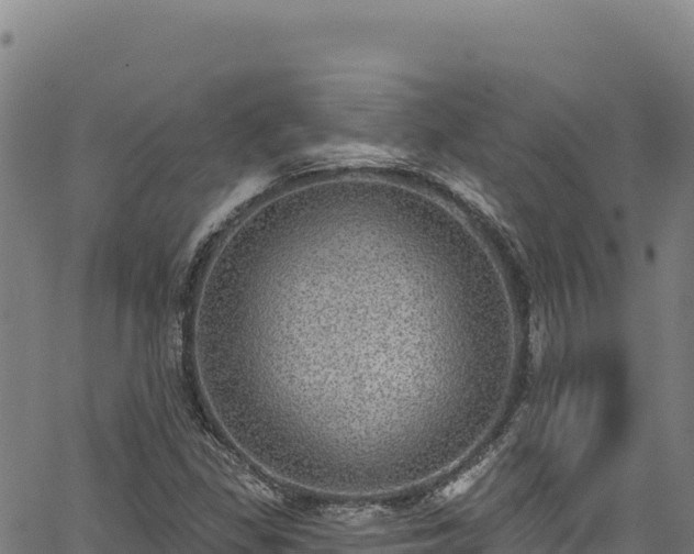 X0000066951309200603311432