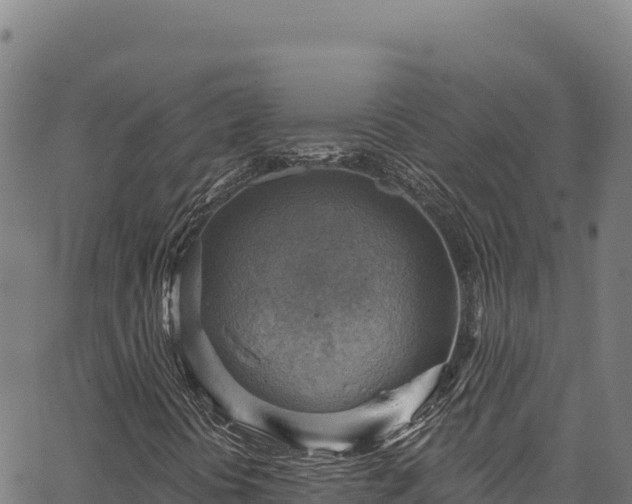 X0000066951394200603311430
