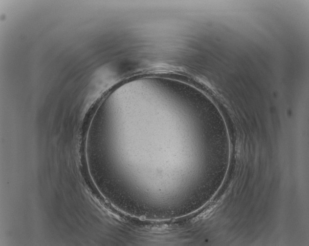 X0000066951410200603311431