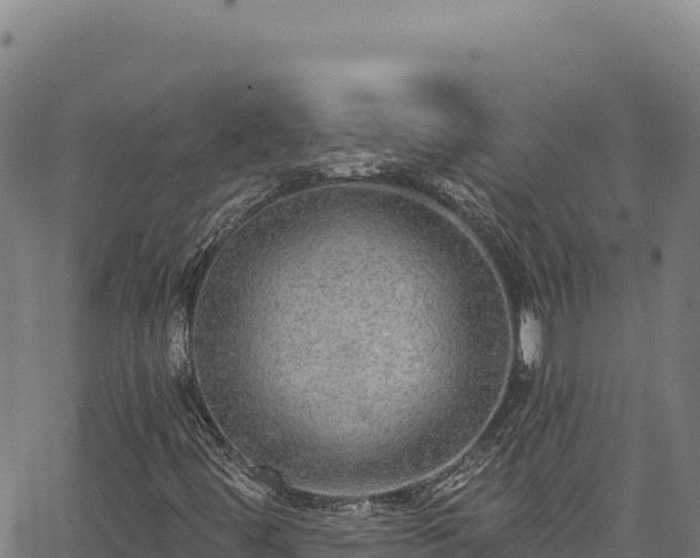 X0000066951444200603311430