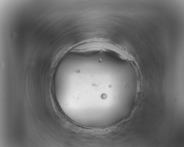 X0000066950001200604071950