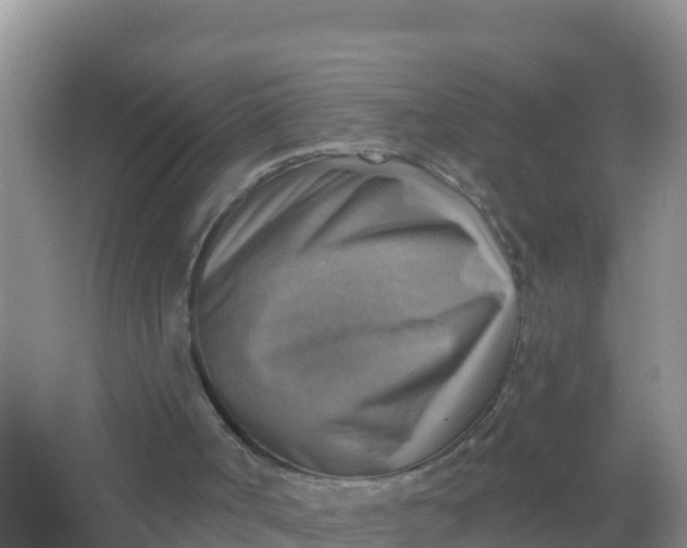 X0000066950002200604071950