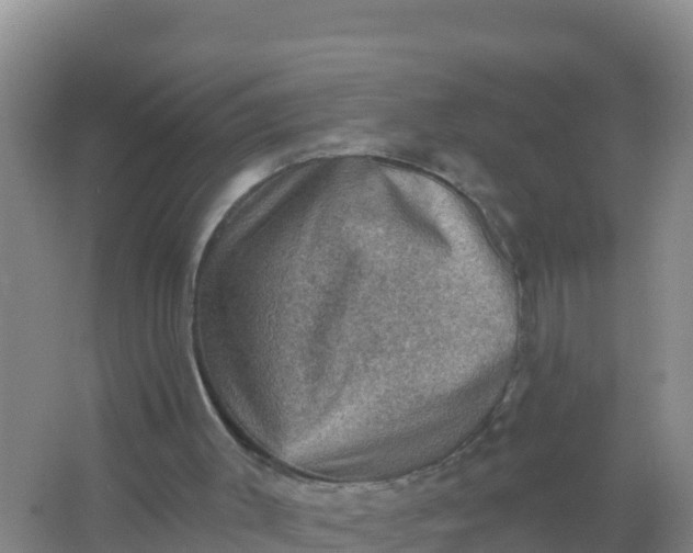 X0000066950003200604071950