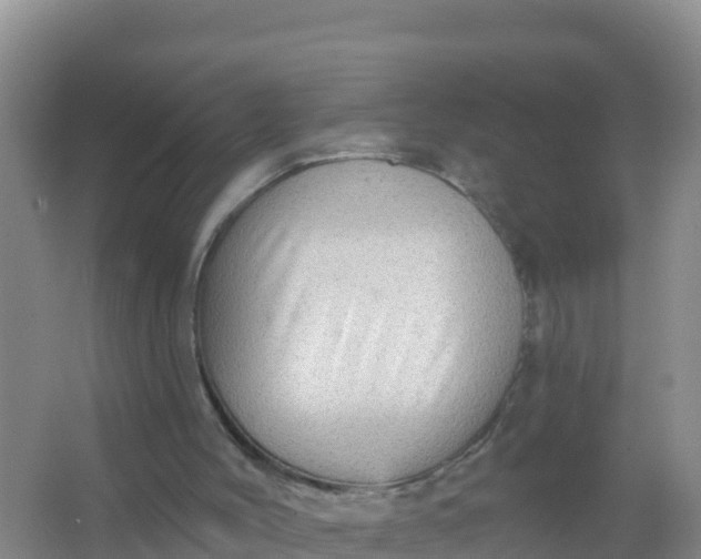 X0000066950004200604071950