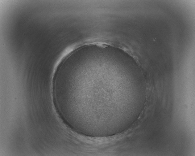 X0000066950006200604071950