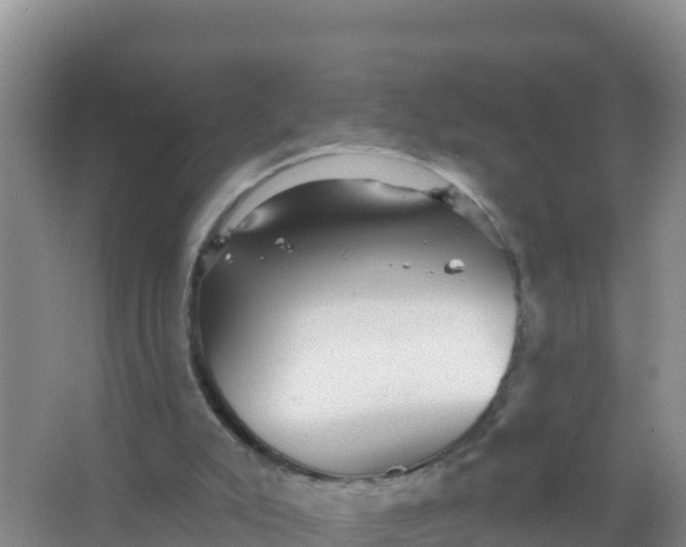 X0000066950007200604071950