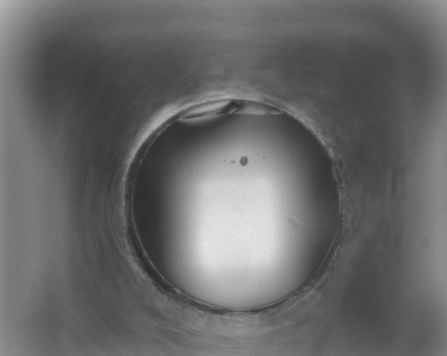 X0000066950008200604071950