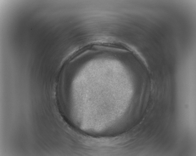 X0000066950010200604071950