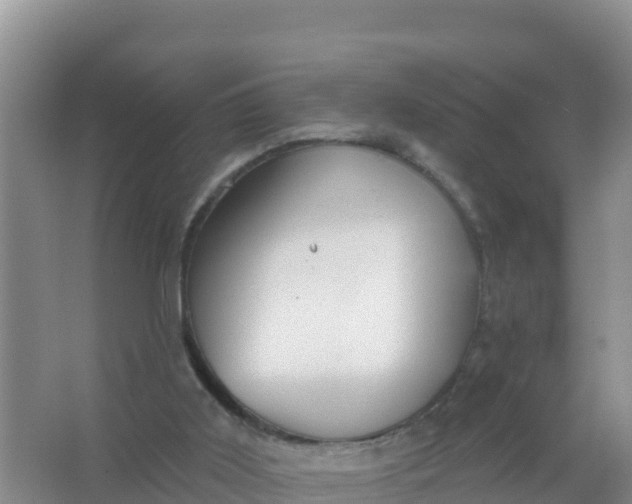 X0000066950011200604071950