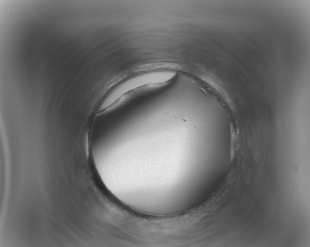 X0000066950013200604071950