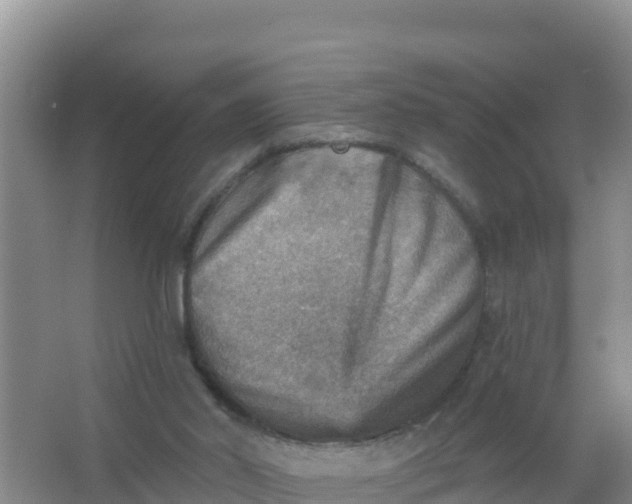 X0000066950014200604071950