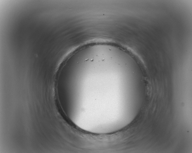 X0000066950015200604071950