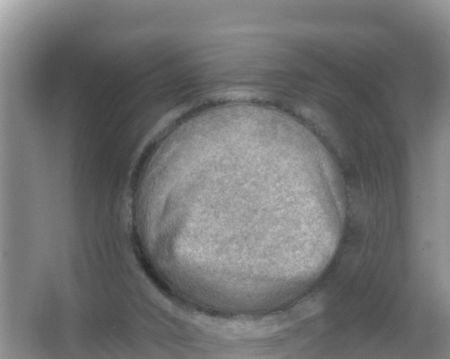 X0000066950016200604071950