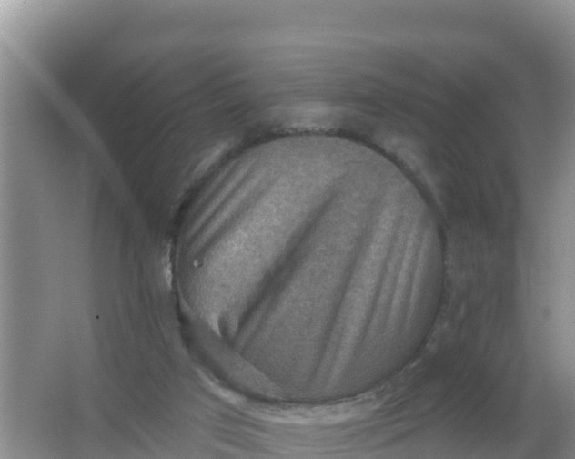 X0000066950017200604071950