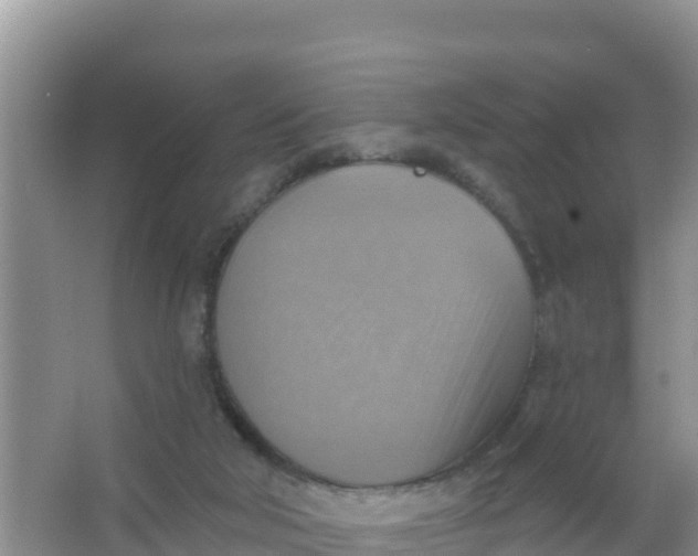 X0000066950018200604071950