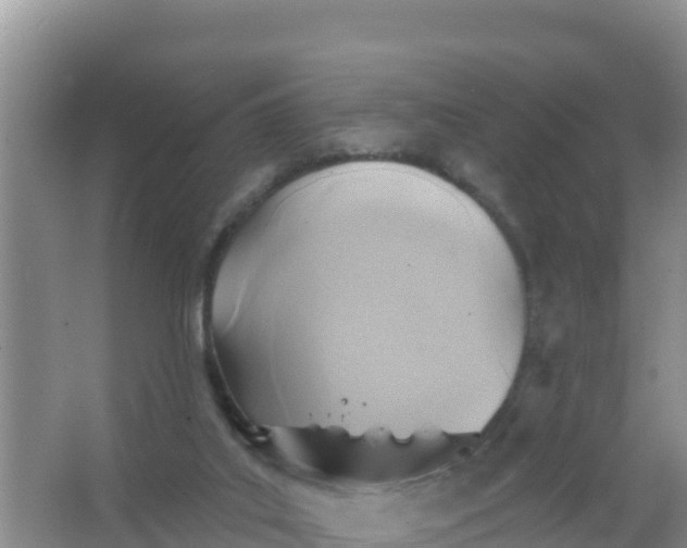 X0000066950019200604071950