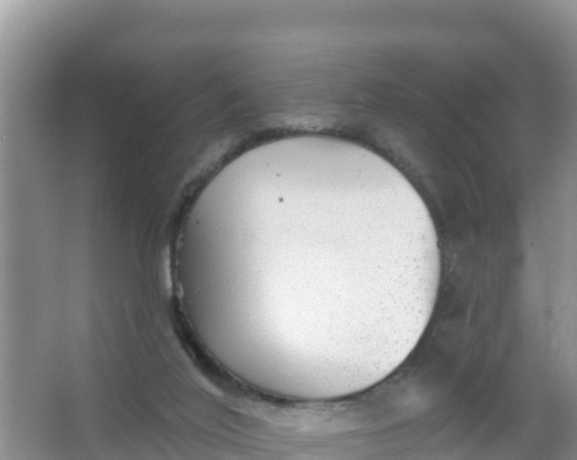 X0000066950020200604071950