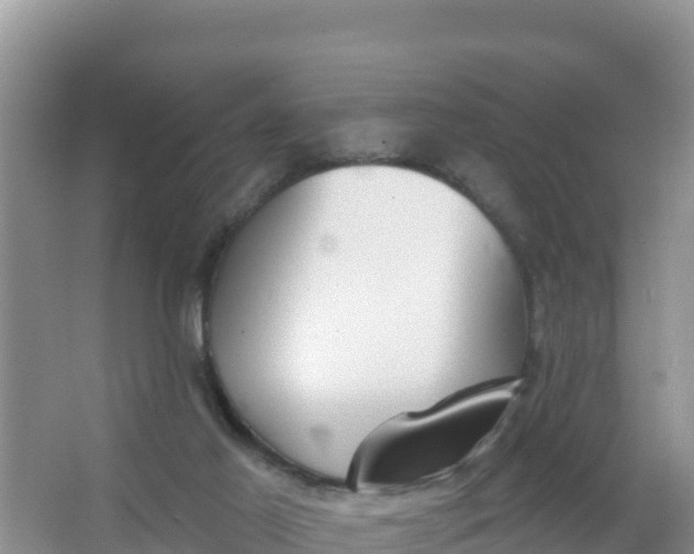 X0000066950021200604071950