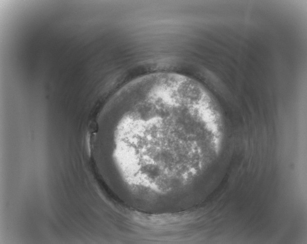 X0000066950022200604071950