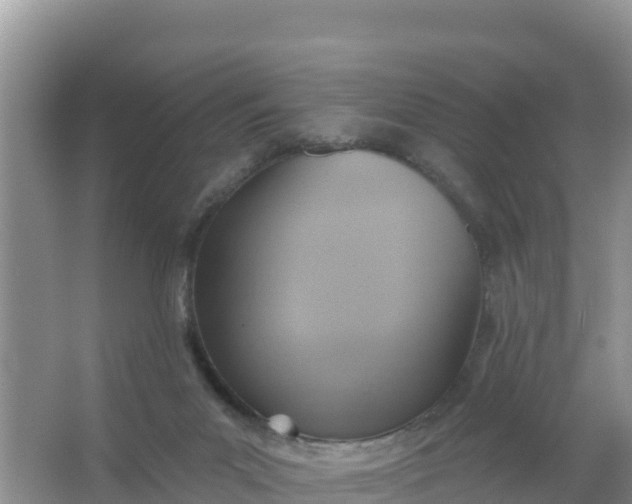 X0000066950023200604071950