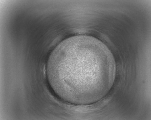 X0000066950024200604071950