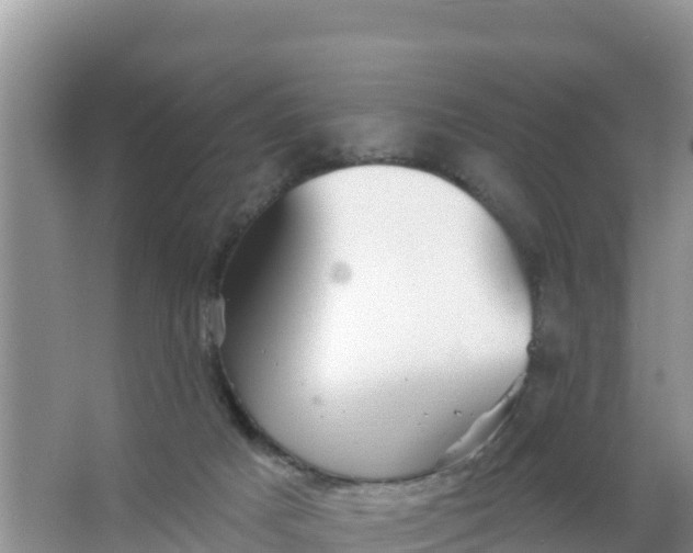 X0000066950025200604071950