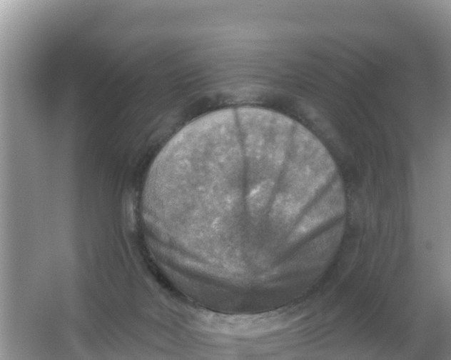 X0000066950026200604071950