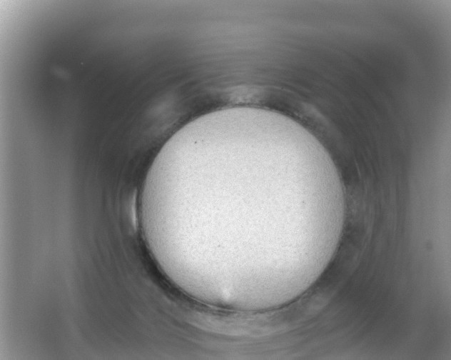 X0000066950028200604071950