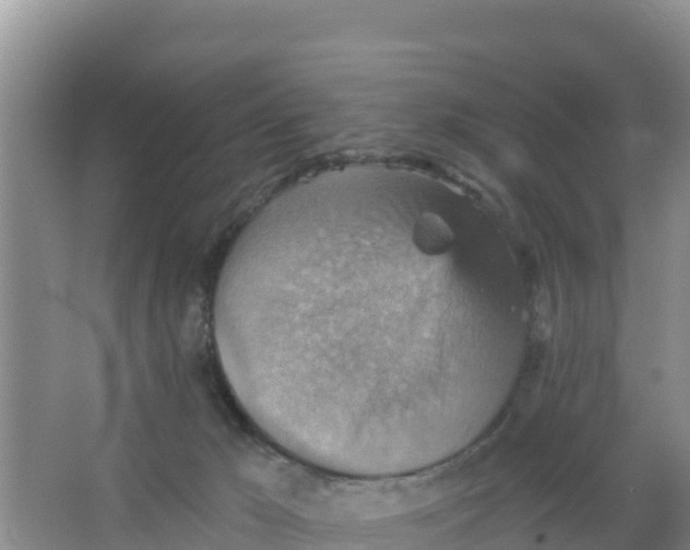 X0000066950029200604071950