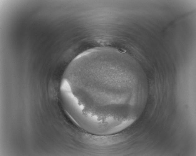 X0000066950030200604071950