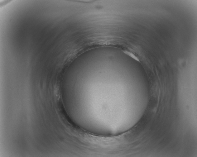 X0000066950031200604071950